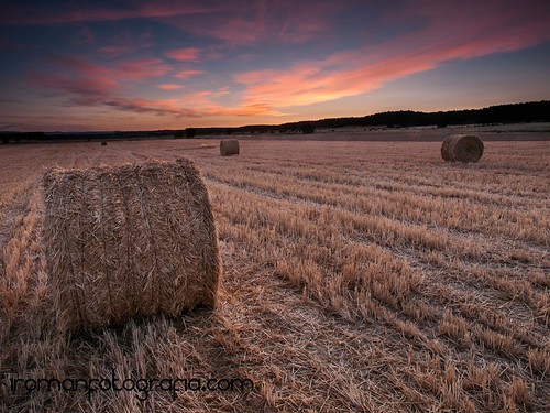 Atardecer en el pueblo by iromanfotografia (Iñaki Román), sunset atardecer spain campo zamora rulos filtro olympuse3 zuiko1260 singhrayreverse iñakiromán irom