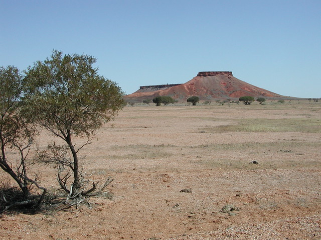 Inselberg and tough gidgee trees north of Birdsville