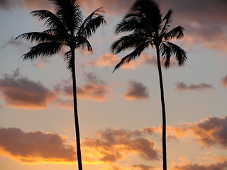 Sunset at Hickam AFB Oahu, Hawaii