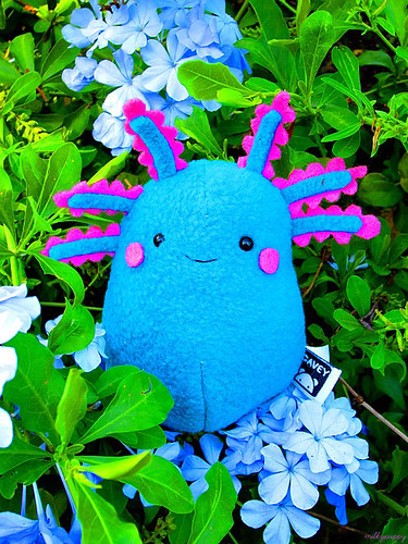 Wooper Looper Cavey | by milkypuppy