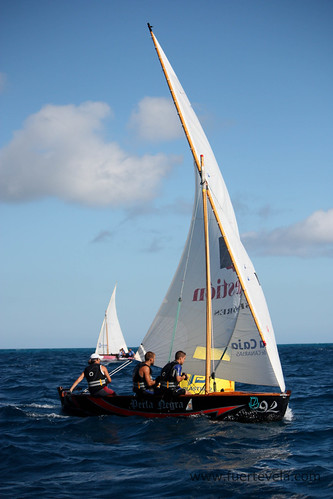 Barquillos de vela latina durante una regata en Fuerteventura