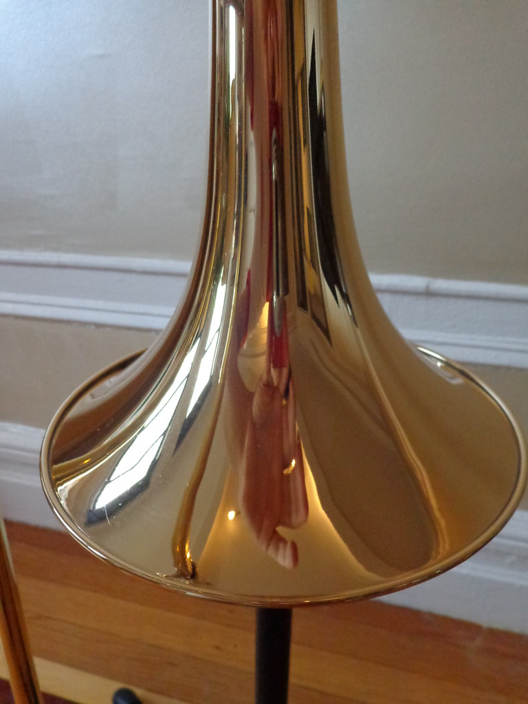 DSC01078 | Another clear picture of the bell section with ze… | Flickr