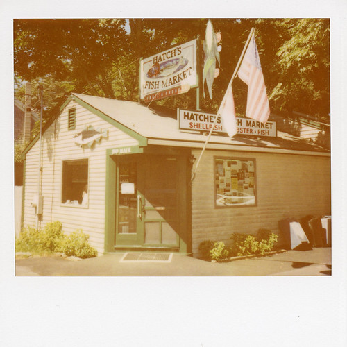 Hatch's Fish Market, Wellfleet MA / Polaroid Spectra Pro | by ho_hokus