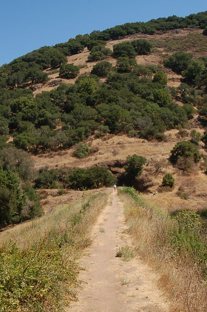 Skyline Trail (Bay Area Ridge Trail)
