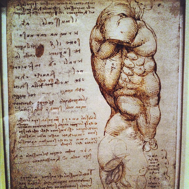Leonardo Da Vinci anatomy drawing museum tour - the 100yo … | Flickr