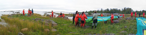 volunteers greenpeace pyhäjoki