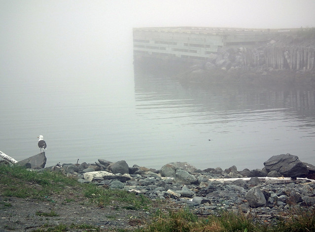 Fog in Ferryland, Newfoundland (2012)