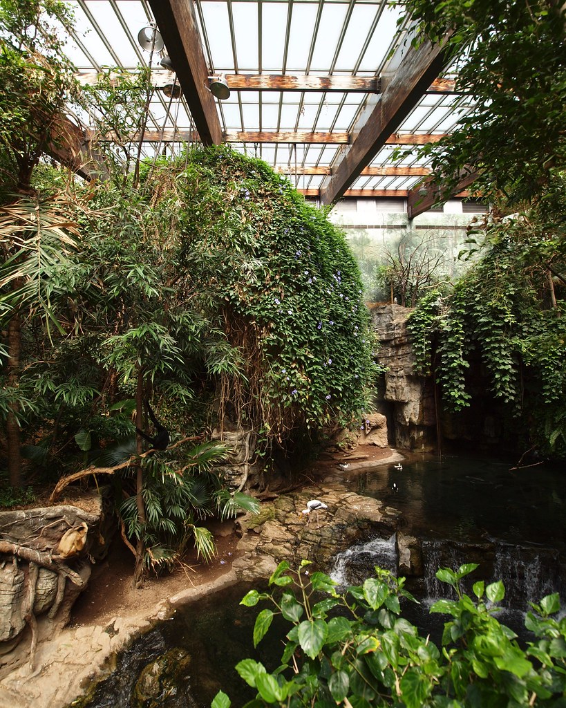 Jungle World, Bronx Zoo, New York City | jag9889 | Flickr