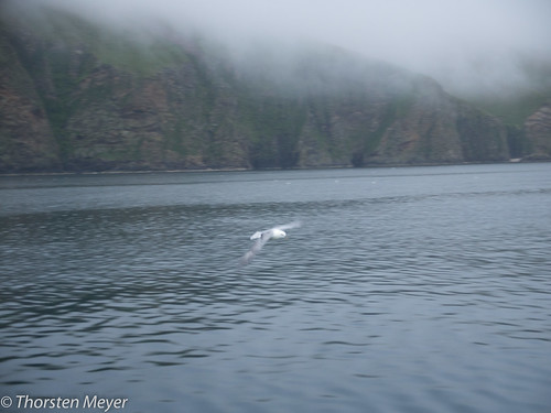 urlaub segeln cullivoe shetlandinseln grosbritannien nordmeertörn 2012nordmeertörn