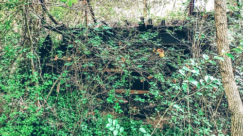abandoned quarry machine tangle