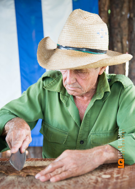 Ecco come fare il tuo sigaro: sigari cubani esclusivamente fatti a mano