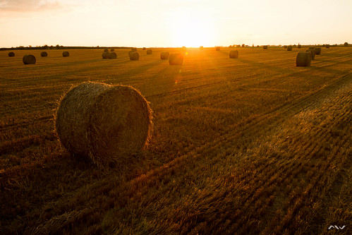 sunset sun field soleil harvest straw ballot coucherdesoleil paille moisson