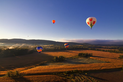IMG_1207 by micro_lone_patriot, hotairballoons