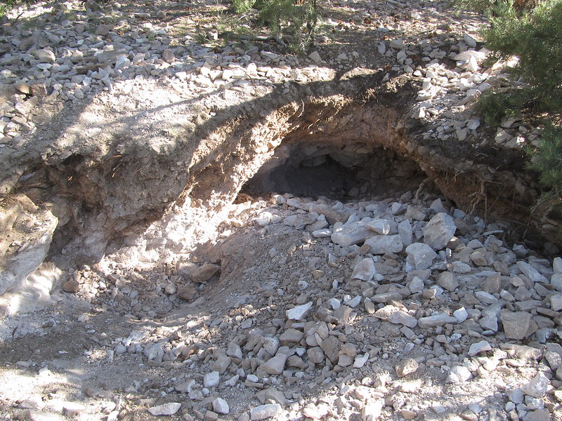Digging Garnets in Ely, Nevada