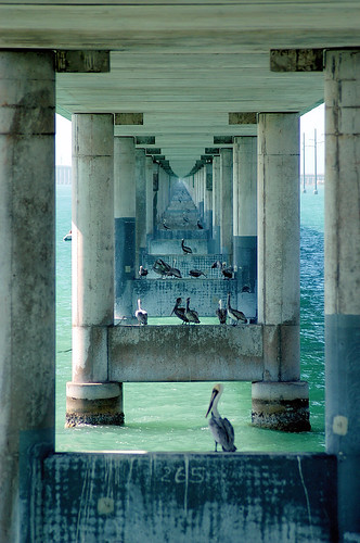 bridge green water birds architecture keys vanishingpoint florida marathon pelican sevenmilebridge 7milebridge jonathansabin