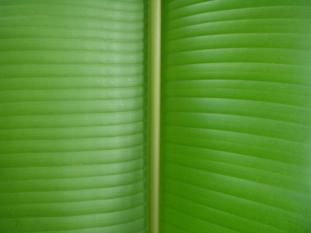 Green 3