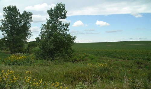 Iowa-Countryside-9 | by dhelley