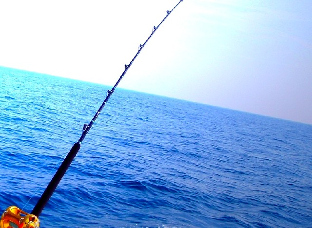 Fishing Reel
