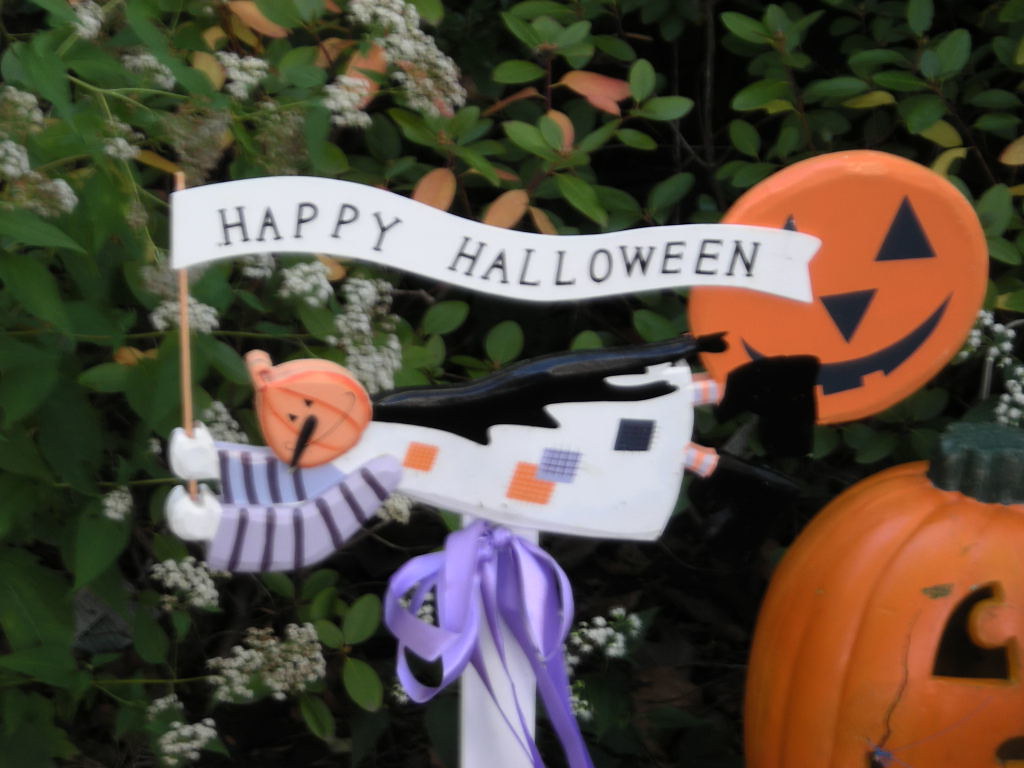 Happy Halloween! Bay Ridge Bitches Flickr