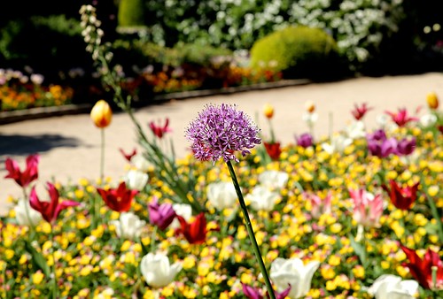 Lente @Kruidtuin Leuven