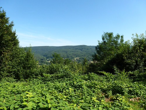 wide angle by mcmrbt, Testing zoom capability of new camera - this is the zoomed out view of previous photoarchitecture mo