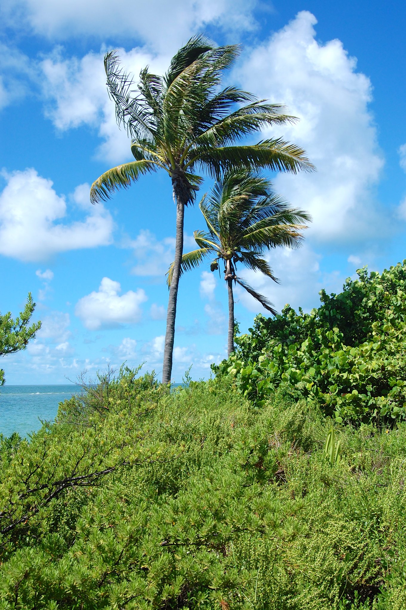 Bill Baggs Cape Florida State Park