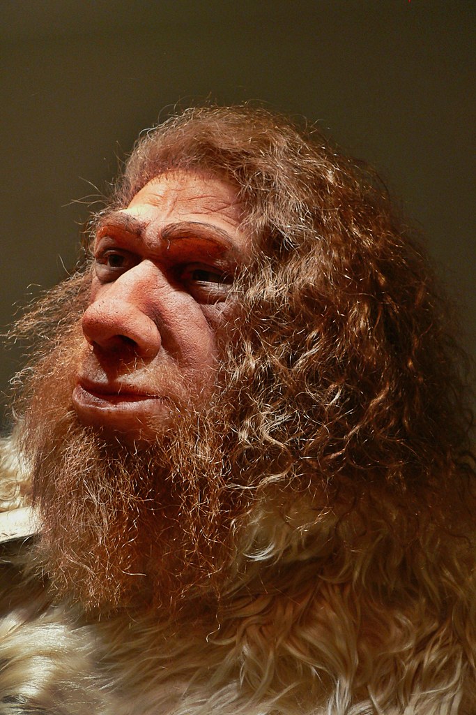Cro Magnon Man Life-Like Bust | Thank you for taking time to… | Flickr