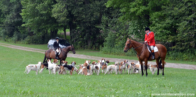 Mock Hunt at the Mimosa Cup 2012 #1