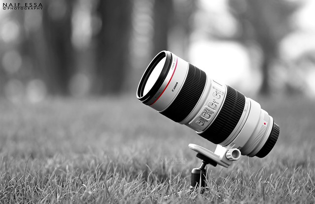 My Lens : Canon EF 70-200mm f/2.8 (L) IS USM