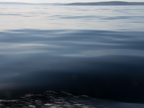 urlaub segeln baltasound shetlandinseln grosbritannien nordmeertörn 2012nordmeertörn
