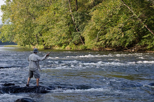 Fly Fishing on New River