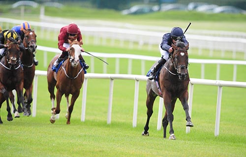 Intelligence Cross Curragh | by Curragh Racecourse