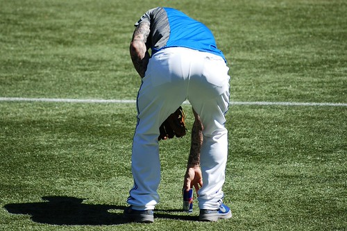 Blue Bulls