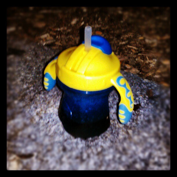 Someone lost a sippy cup. When the kidies start leaving their sippy cups around you wonder what was in those cups. .