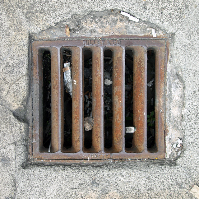 Willey & Co drain cover