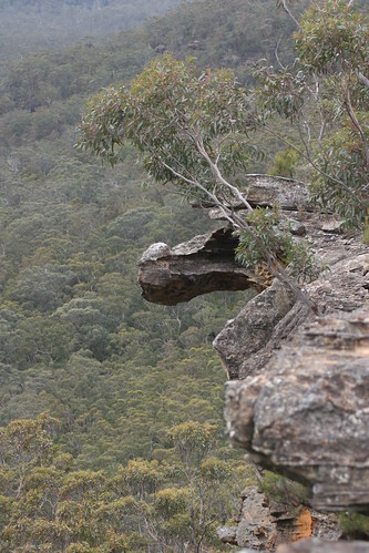 australia lookout bushwalking nsw newsouthwales aus lakesland southernhighlandsbushwalkers bluegummountain