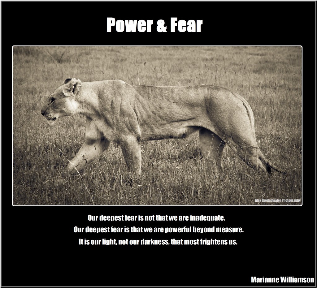 Overcoming Your Fears: The Power of Hypnotherapy for Phobias