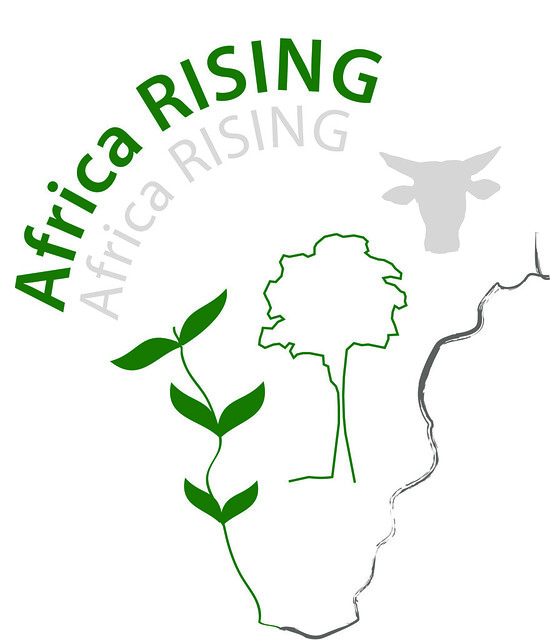 Africa RISING project logo