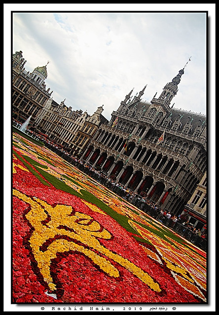 Le Tapis de fleurs de la Grand Place - Grand Place Flower Carpet (Explore Sep 14, 2012 #338)
