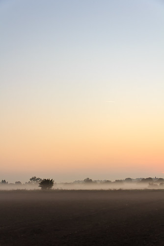 morning fog sunrise spöck stutensee