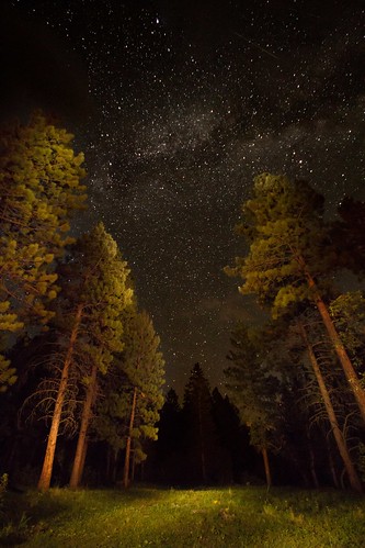 camping trees night forest stars milkyway perseidmeteorshower dcumminsusa dcummins canoneos7d20120810img9748edited