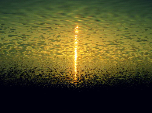 sunset water ma massachusetts ashley reservoir ripples
