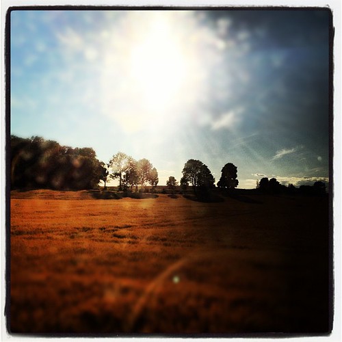 Bussen hem by mifred, square lofi squareformat iphoneography instagramapp uploaded:by=instagram