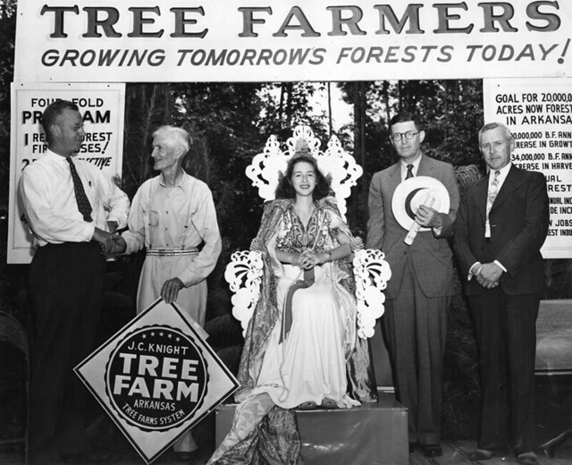 Arkansas launches tree farm program.
