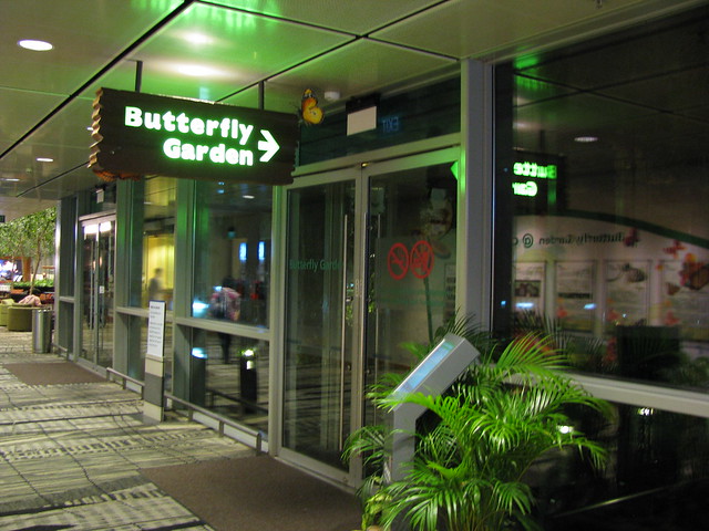 Butterfly garden: Changi Airport T-3
