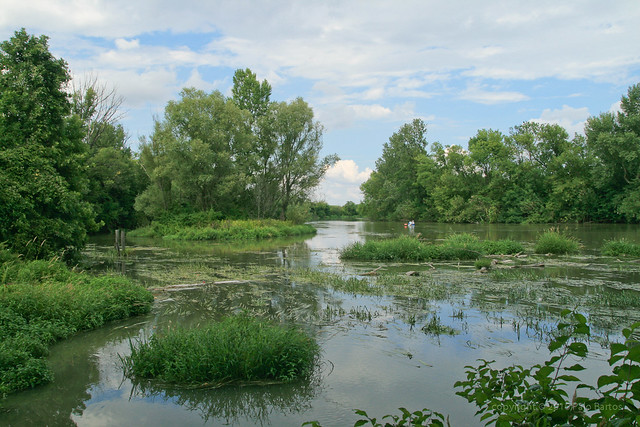 Jul 22: Maly Dunaj Rowing, Jelka 3