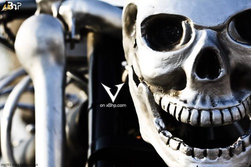 Skeletor - Vardenchi Customs