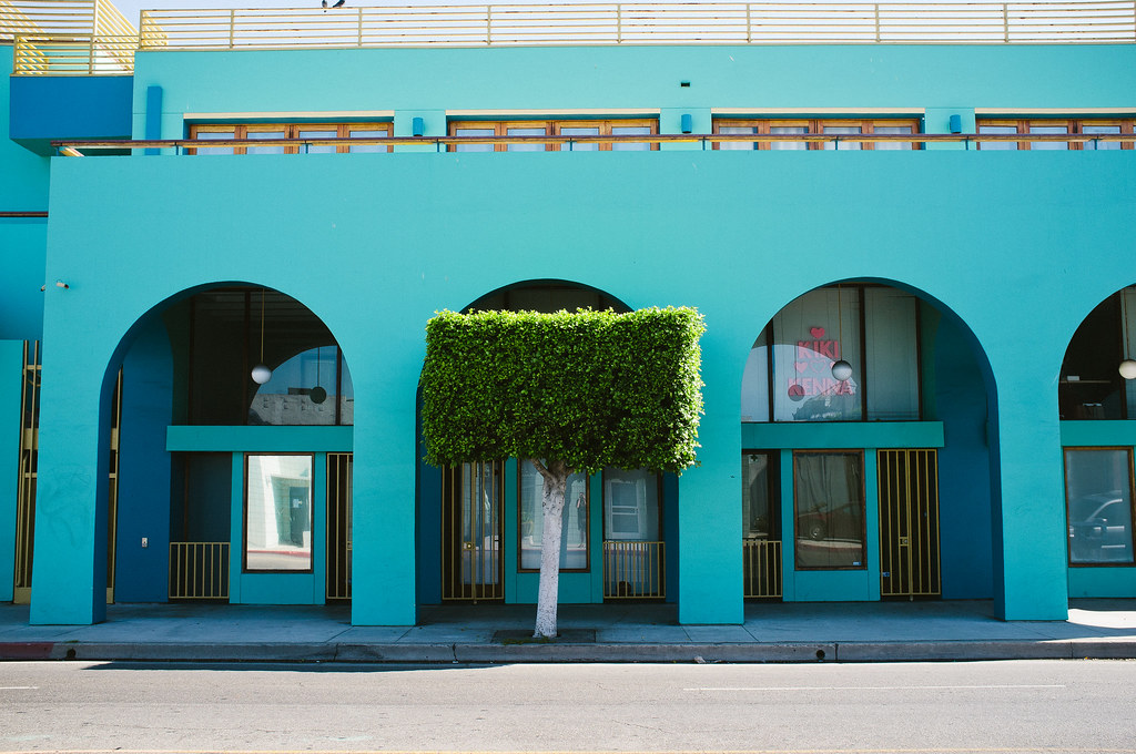 Turquoise building facade with rounded arches centered behind a neatly trimmed square topiary tree.