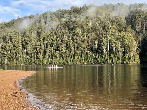 tasmania australia lakebarrington lake trees amrc2018 rowing