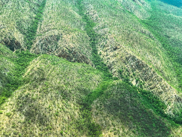 Sparse forest on the ridges, dense forest in the valleys.